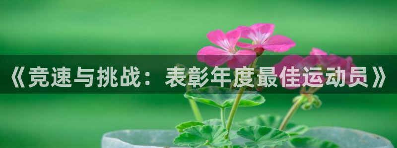 球王会体育