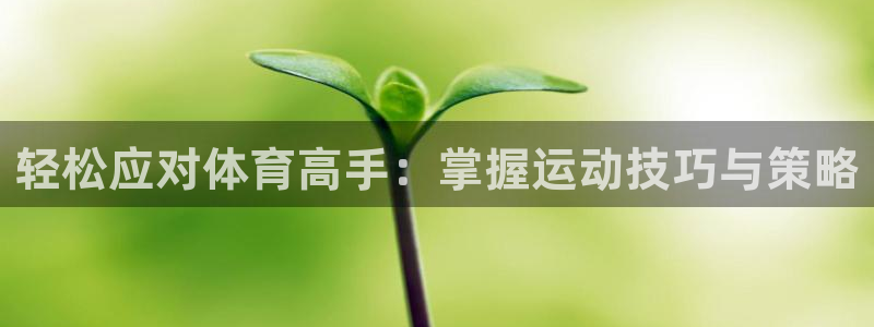 球王会体育：轻松应对体育高手：掌握运动技巧与策略