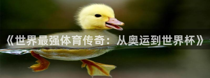 球王会体育：《世界最强体育传奇：从奥运到世界杯》