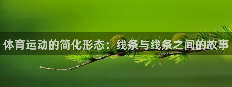 球王会体育：体育运动的简化形态：线条与线条之间的故事