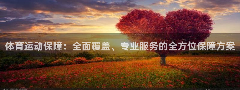 球王会体育：体育运动保障：全面覆盖、专业服务的全方位保障方案