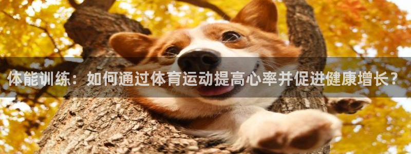 球王会体育：体能训练：如何通过体育运动提高心率并促进健康增长？