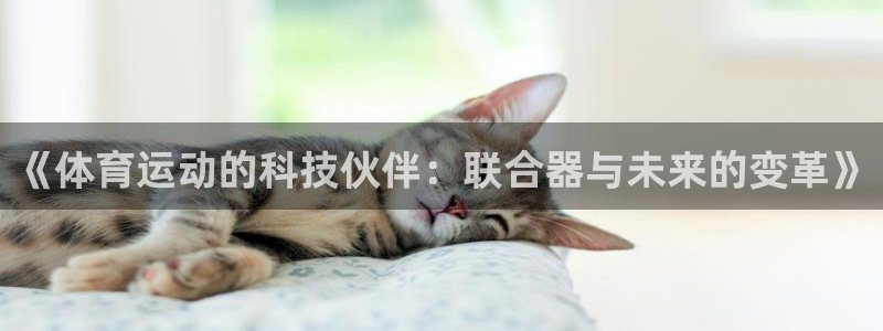 球王会体育：《体育运动的科技伙伴：联合器与未来的变革》
