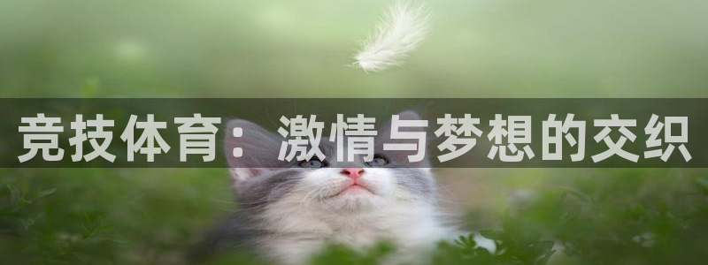 球王会体育：竞技体育：激情与梦想的交织