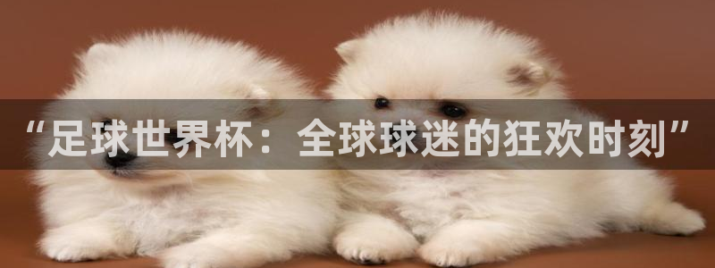 “足球世界杯：全球球迷的狂欢时刻”