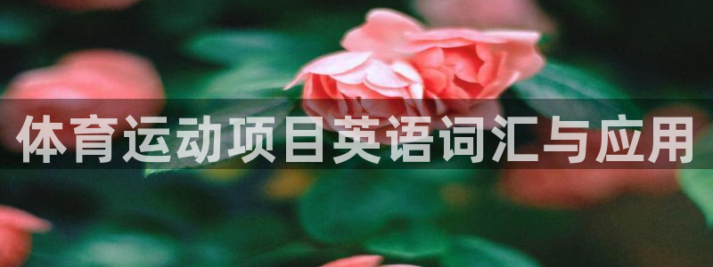 球王会体育：体育运动项目英语词汇与应用