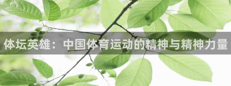 球王会体育：体坛英雄：中国体育运动的精神与精神力量