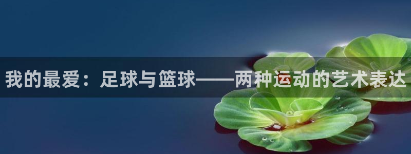 球王会体育：我的最爱：足球与篮球——两种运动的艺术表达