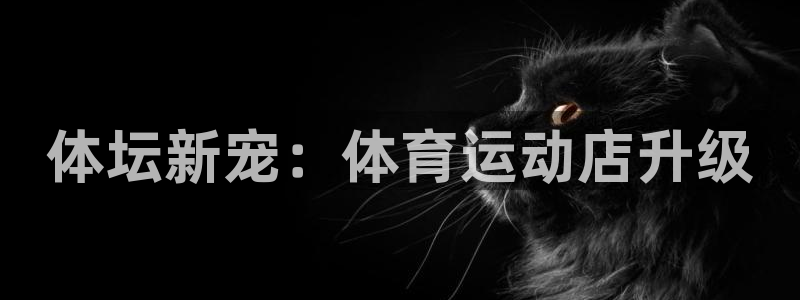球王会体育：体坛新宠：体育运动店升级