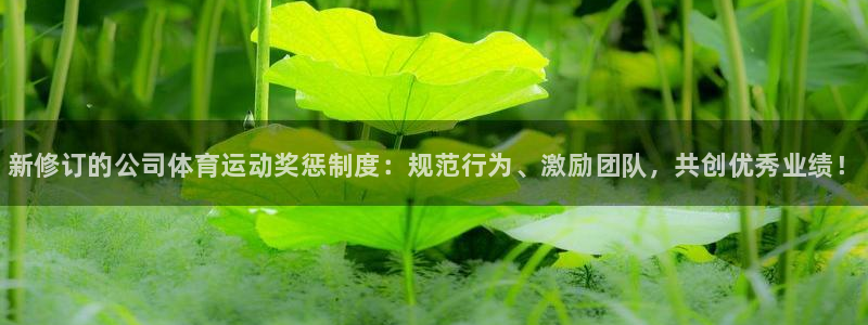 球王会体育：新修订的公司体育运动奖惩制度：规范行为、激励团队，共创优秀业绩！