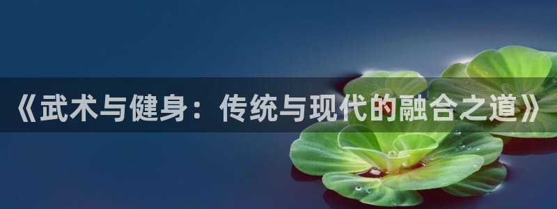 球王会体育：《武术与健身：传统与现代的融合之道》