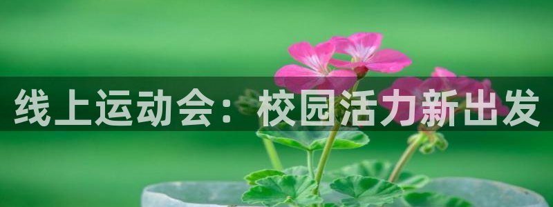 球王会体育：线上运动会：校园活力新出发