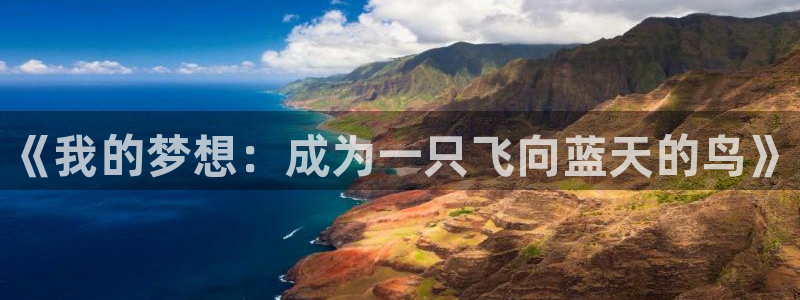 球王会体育：《我的梦想：成为一只飞向蓝天的鸟》
