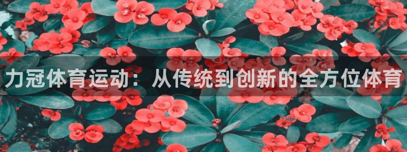 球王会体育：力冠体育运动：从传统到创新的全方位体育