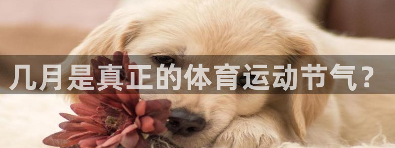 球王会体育：几月是真正的体育运动节气？