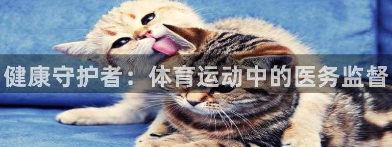球王会体育：健康守护者：体育运动中的医务监督