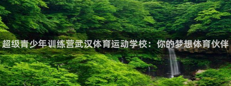球王会体育：超级青少年训练营武汉体育运动学校：你的梦想体育伙伴