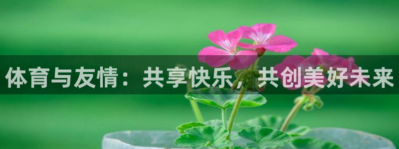 球王会体育：体育与友情：共享快乐，共创美好未来