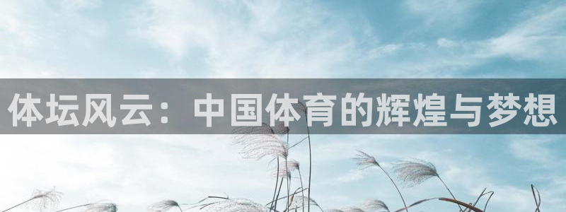 球王会体育：体坛风云：中国体育的辉煌与梦想