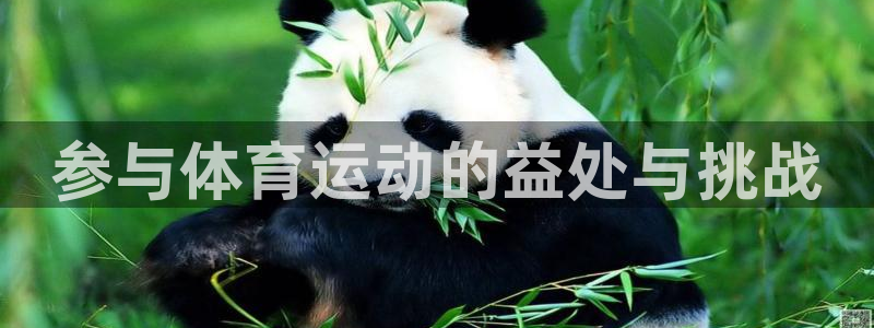 球王会体育：参与体育运动的益处与挑战