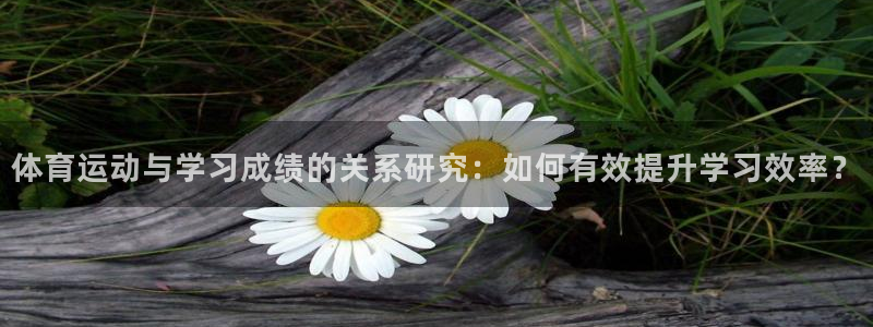 球王会体育：体育运动与学习成绩的关系研究：如何有效提升学习效率？