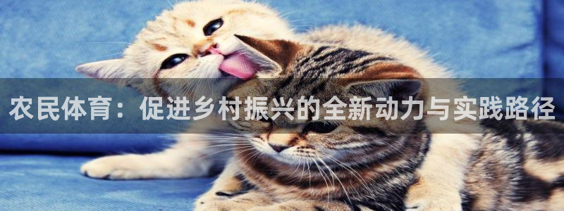 球王会体育：农民体育：促进乡村振兴的全新动力与实践路径