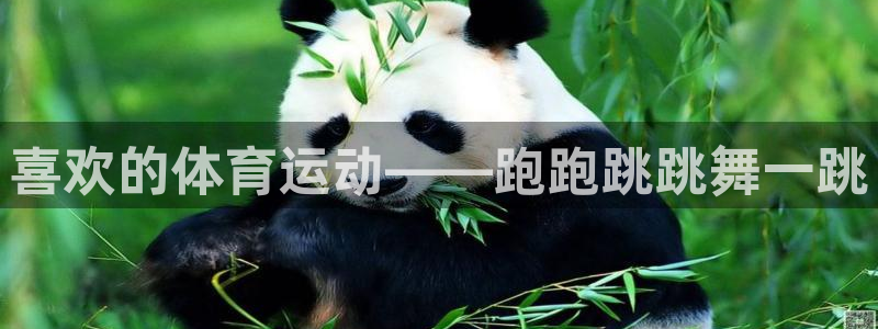 球王会体育：喜欢的体育运动——跑跑跳跳舞一跳