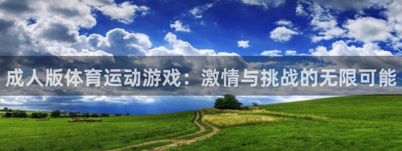 球王会体育：成人版体育运动游戏：激情与挑战的无限可能