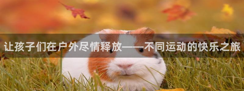 球王会体育：让孩子们在户外尽情释放——不同运动的快乐之旅