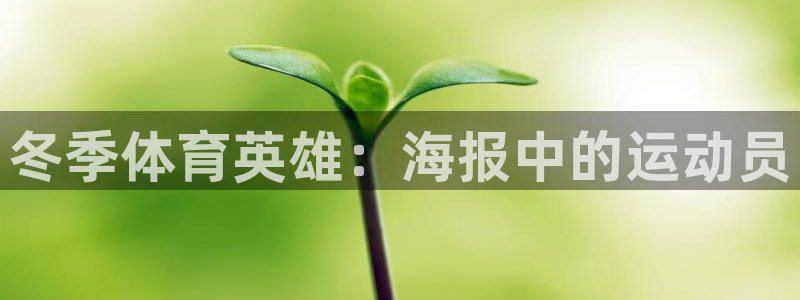 球王会体育：冬季体育英雄：海报中的运动员