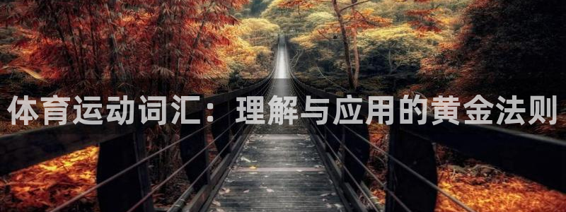 球王会体育：体育运动词汇：理解与应用的黄金法则