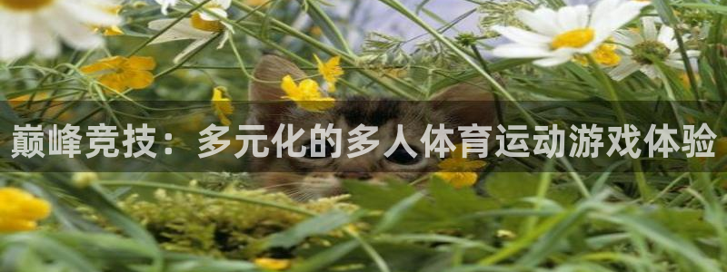 球王会体育：巅峰竞技：多元化的多人体育运动游戏体验