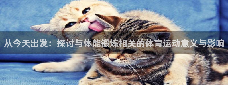 球王会体育：从今天出发：探讨与体能锻炼相关的体育运动意义与影响