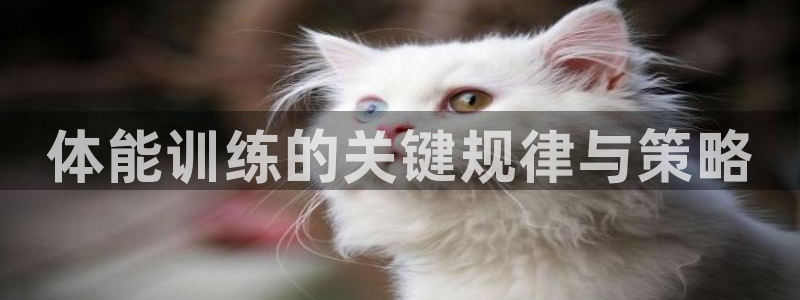 球王会体育：体能训练的关键规律与策略