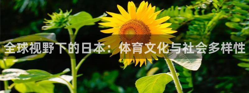 球王会体育：全球视野下的日本：体育文化与社会多样性