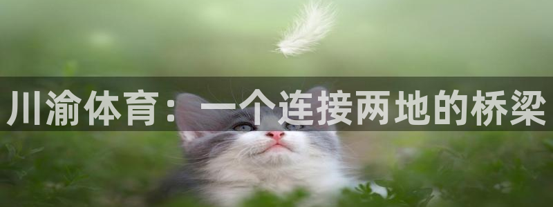 球王会体育：川渝体育：一个连接两地的桥梁